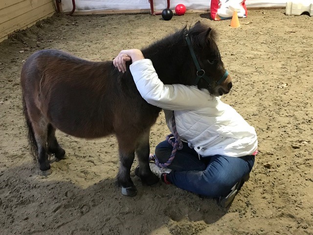 Child hugging horse